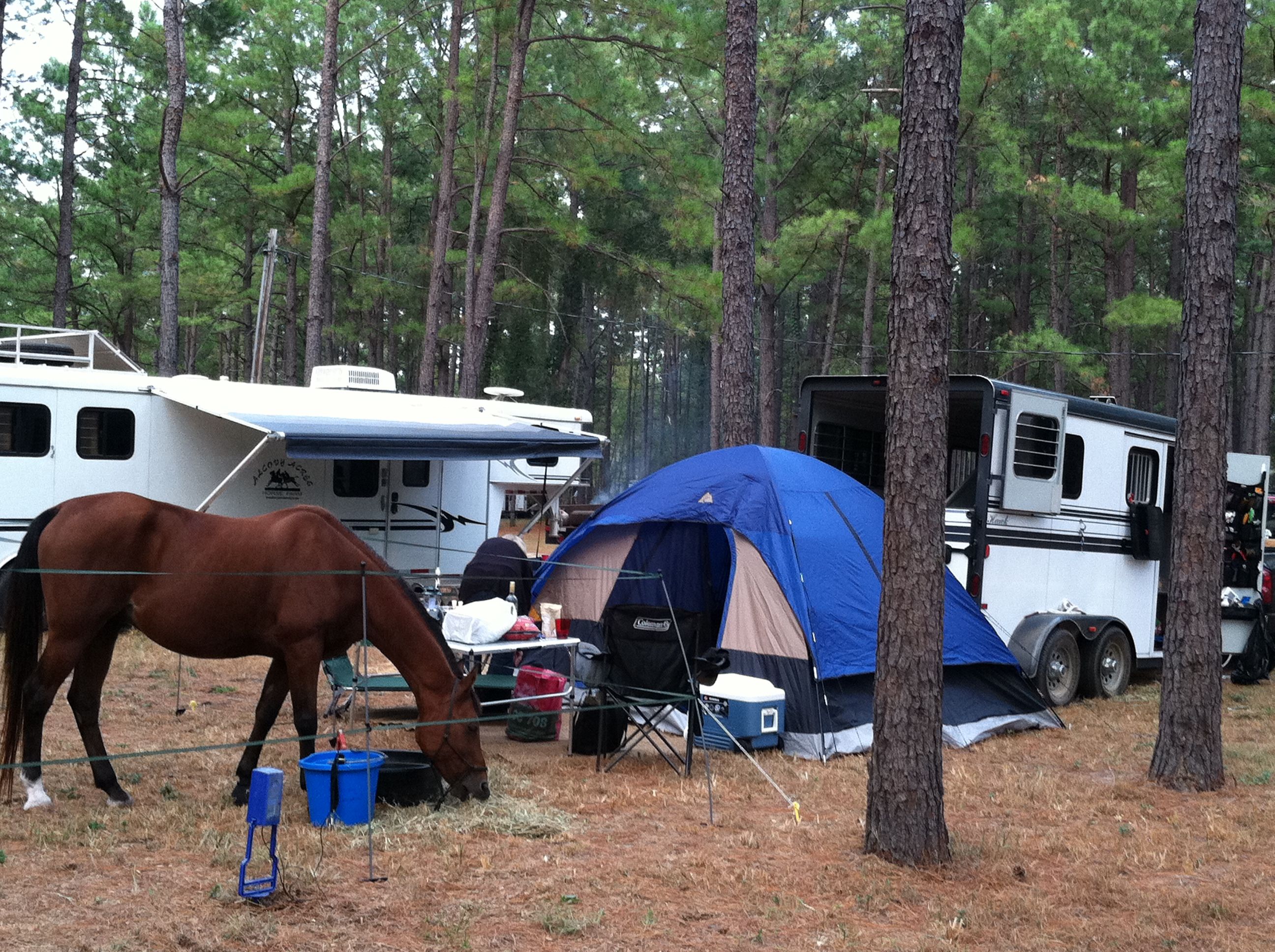 camper_and_horse